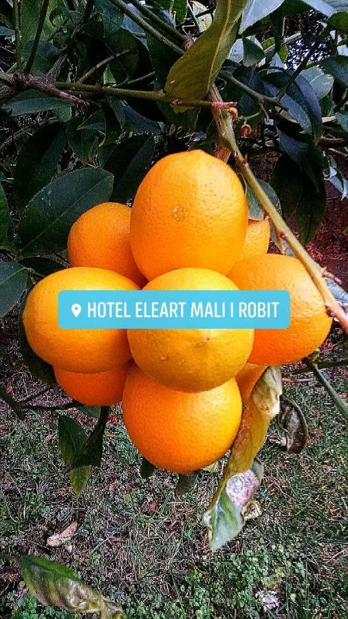 Eleart Aparthotel Golem  Eksteriør bilde